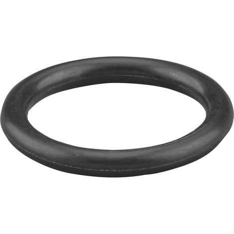 Rems O-Ring 060364