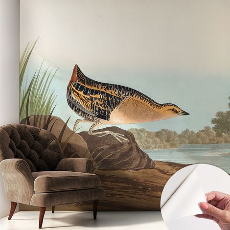 Papier peint adhésif décoratif pour salon chambre et cuisine Facile à poser avec colle Scène naturelle 250x250 cm (1/5)