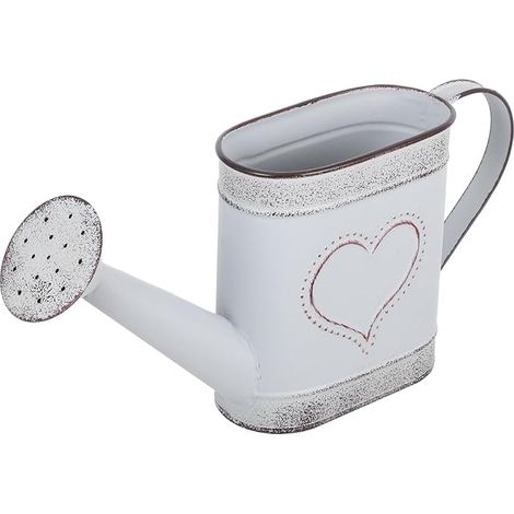 Antique Pot de fleur de kettle Outils pour arroser les plantes Abreuvement de l'arroseur Bouteille Vase de fleur rustique Bucket d'arrosage Pot Bureau Fer (1/5)