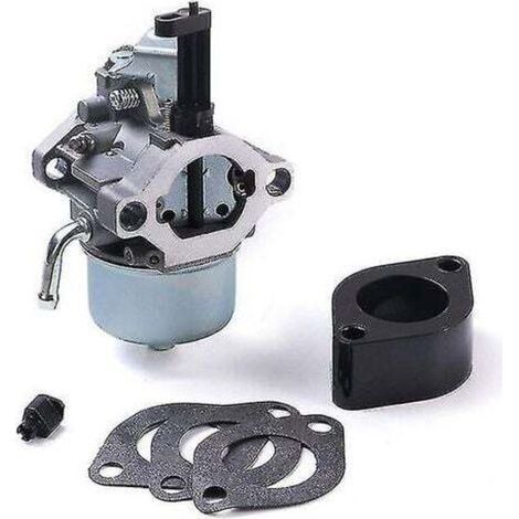 BUNTHAUS Vergaser für Briggs & Stratton 715783, 715525, 715494 (1/2)