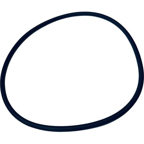 Wilo mechanisches Ersatzteil O-Ring Id.123,42X3,53 EPDM VP. (1/3)