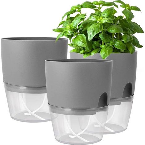 Juego de macetas autorriego para hierbas aromáticas, Juego de 3-182 x 11 x 153 mm, Maceta gris para hierbas frescas de cocina (1/4)