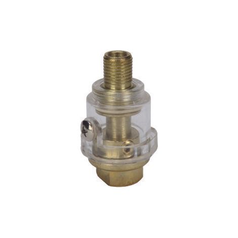 Einhell – Lubrificateur à brouillard d'huile R 1/4 pour compresseur – Accessoire 120mm de hauteur – Pour espaces confinés – Utilisation professionnelle (1/5)