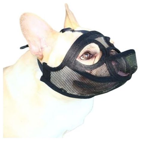 Maulkorb für Französische Bulldoggen, für kleine Hunde, atmungsaktives Netzgewebe, ermöglicht Trinken und Fressen, Antibell-Funktion – Hundemaulkorb – Größe M (1/5)