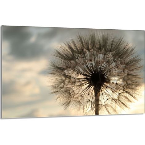 Glasherdschutzplatte 80x52 Blume (1/5)