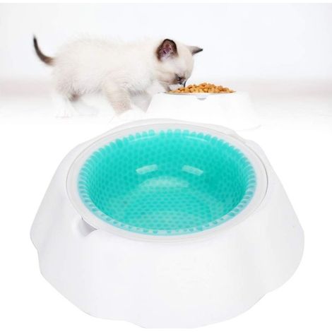17 Cm/6.6in Eau de Refroidissement Bols à Boire Chien Chat Animal de Compagnie Vert Givré Bol Eau Réfrigérée Bol d'alimentation,Vert (1/5)