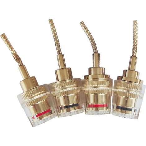Adaptateur pour haut-parleur audio à 4 fiches bananes à dégagement rapide et installation facile (1/5)