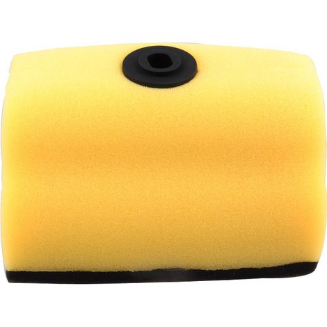 Filtre à Air Élément Filtrant pour Motocross Honda CRF150F (2003-2017) et CRF230F (2003-2019)-xxx