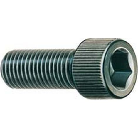 Röhm  tornillo  de  sujeción,  tamaño  250,  pieza  -  200183