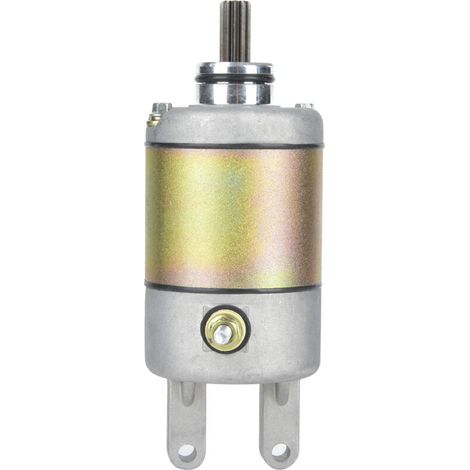 Jeffergarden Démarreur de moteur électrique en acier adapté pour scooter et VTT Linhai 250CC-300CC-DOU