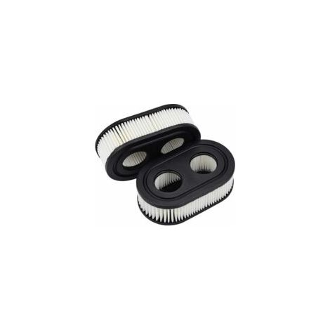 2 filtri aria per tosaerba per Briggs & Stratton 550E-550EX 798452 593260-Crezuo
