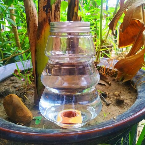 Arrosage Automatique - Système Goutte à Goutte Sans Bouteille - Pour Plantes d Intérieur Extérieur - 500 ml - 1 Pièce (1/5)