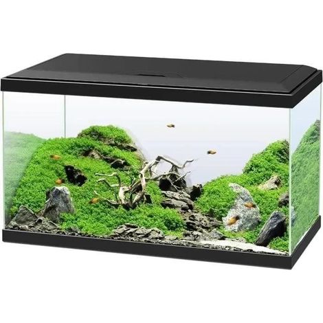 Acquario - CIANO - 60 L - Filtro - LED - Riscaldatore - FOAM 30PPI - CF80 - Nero (1/3)