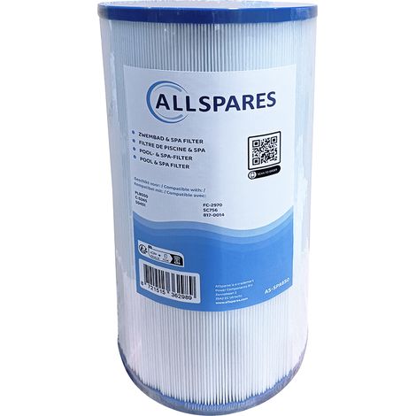 Spa Waterfilter geschikt voor Darlly SC756 / PLBS50 / C-5345 / 50451 / FC-2970 (1/4)