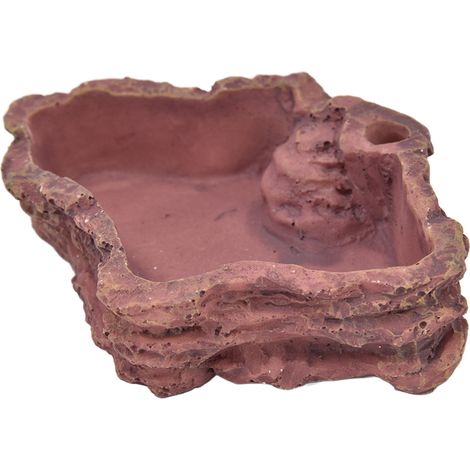 pour reptiles abreuvoir et gamelle pour tortues guanas et