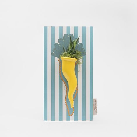 Succulenta vera in vaso ceramico Made in Italy Cornetto Strisce - Turchese