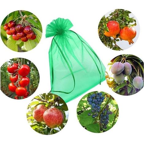 (30 x 20 cm, 100pcs) Sachets de protection pour grappes de raisin, verts, avec cordon de serrage, protection complète contre les guêpes et les oiseaux (1/5)