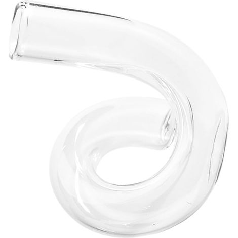 Vase en Verre Transparent Forme Irrégulière Petit Vase Décoratif pour Fleurs Fraîches et Séchées Bouteille de Fleurs Design Créatif pour Table et Décoration Intérieure (1/5)