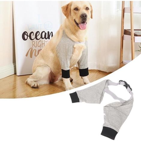 Protège-coude pour Chien - V GEBY - Recovery Sleeve - Gris - Respirant - Confortable (1/4)