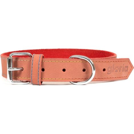 Collier pour Chien Gloria Oasis Rouge (1,5 x 40 cm) (1/5)