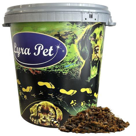 5 kg de Lyra Pet® grillons séchés dans un tonneau de 30 L