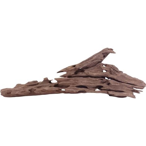 XL Honey Comb Wurzel Nr.5146 Holz Deko Aquascaping