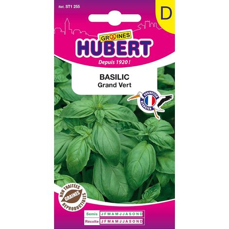 Graines de Basilic Grand Vert - 1,5 grammes (1/5)