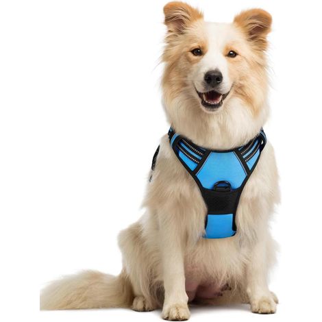 Harnais chien anti-traction Rabbitgoo M bleu clair réglable réfléchissant attache avant (1/5)