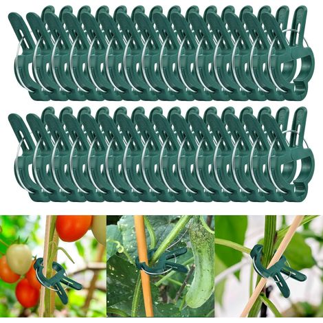 50 Clips de Support pour Plantes Grimpantes - Attache pour Tomates et Légumes (45 X 30 MM)