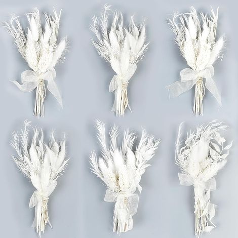 6 Pièces Petit Bouquet Fleurs Sechees Naturelles Mini Bouquet Fleurs Séchées Bohème Mini Fleur Sèch pour Saint Valentin Vase Mariage Fête Emballage Cadeau Décoration (1/5)