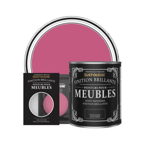 Peinture pour Meubles Brillante - Framboise (1/3)