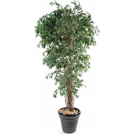 Ficus Benjamina factice petite feuille tronc nature en pot H150cm Vert - dimhaut: H 150 cm - couleur: Vert