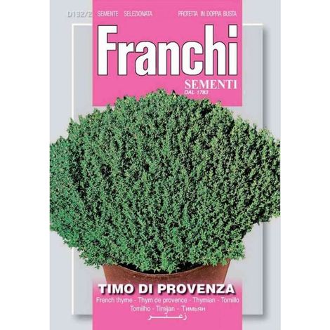 SEMI DI TIMO DI PROVENZA