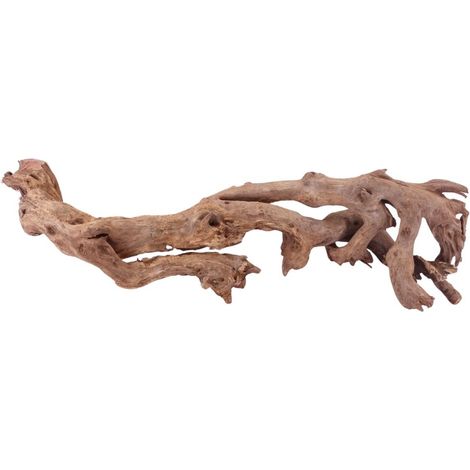 XL Driftwood Flußwurzel Nr.4914 Holz Deko Aquascaping
