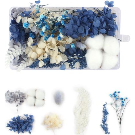 Boîte de Fleurs Séchées Naturelles Bouquet Décoratif Pour Noël en Vrac (1/5)