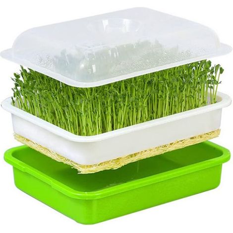 Germoir pour Graines à Germer, Germoir avec Couvercle, Bac de Culture Plastique pour Semis, pour Jardin Maison Bureau (1/5)