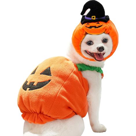 Dog Pumpkin Costume, Pumpkin Puppy Hat Warm Dog Costume for (1/5)