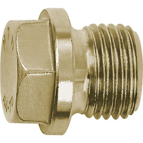 Riegler Verschlussschraube, Außensechskant, Bund, G 1/4, SW 13, ES 1.4571 (1/3)