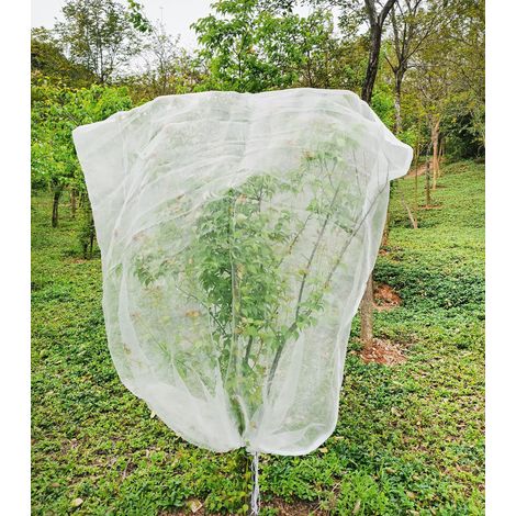 Filet de Protection pour Arbres Fruitiers 2.42.4m- Anti-Insectes & Oiseaux avec Cordon de Serrage - Filet Durable en Polyester pour Cerises/Fruits (Extérieur/Jardin)