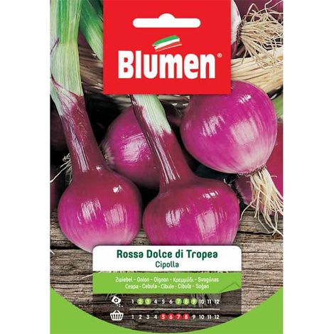 SEMI CIPOLLA ROSSA DOLCE DI TROPEA BLUMEN