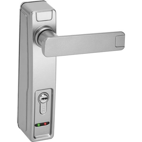 Poignée de porte iseo trim tronic v1 électromécanique antivandalisme