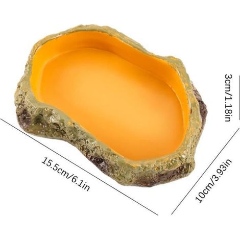 Bassin À Eau Pour Reptiles - Gamelle Multifonction Terrarium Serpent - 1 Pièce (1/4)