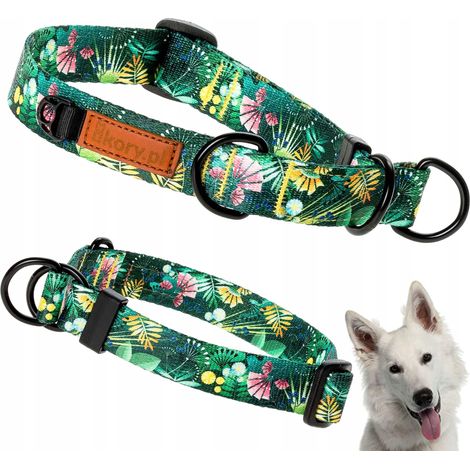 Collar antiescapismo de medio ahorqueo para perros pequeños o cachorros de 20-27 cm Ukory (1/5)