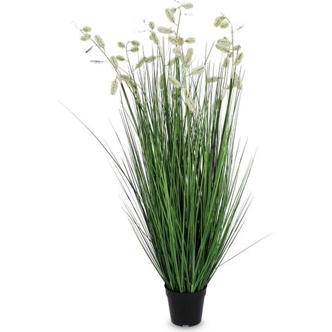 Set 4 Piante Grevillea in Plastica Bianco da Interno H120 - IMPERIALE (1/4)
