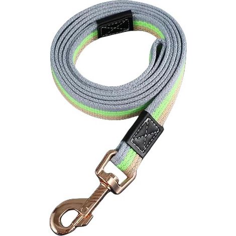 Collare per cani in nylon, collare da addestramento per cani di grandi dimensioni, collare da passeggio per cuccioli per cani di piccola, media e grande taglia, larghezza 1,5 cm (5 piedi) (1/2)