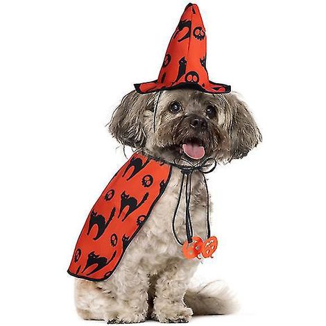 Ensemble de 2 costumes d'Halloween pour animaux de compagnie, pour les décorations d'Halloween (1/3)