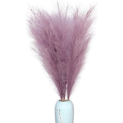 BelleRise - Herbe de la pampa naturelle séchée violet clair pour décoration intérieure, mariages et soirées bohèmes (1/4)