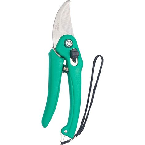 Sécateur de jardin, vert, pour branches et taille de plantes (1/5)