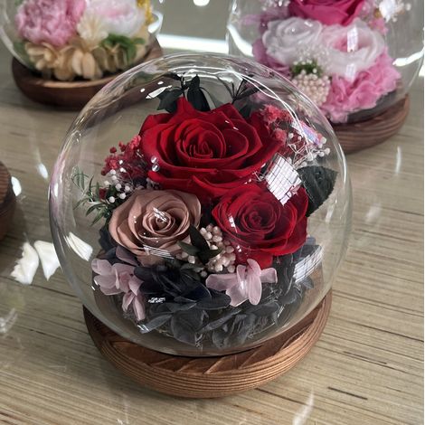 Roses éternelles naturelles marinées avec éclairage LED, roses immortelles en verre, cadeaux pour anniversaires, fêtes des mères, mamans, fiancées, Noël, Saint-Valentin, idées cadeaux féminines