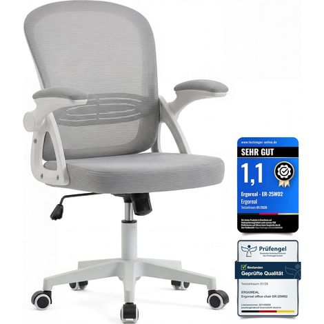 Chaise de bureau ergonomique grise, accoudoirs rabattables, dossier inclinable, maille, charge 140 kg (1/5)